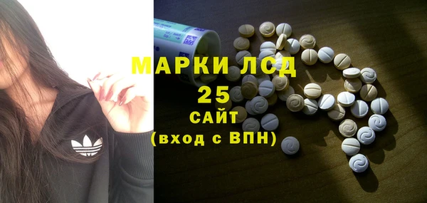 шишки Нея