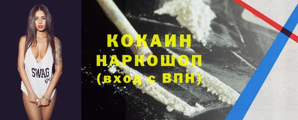 шишки Нея