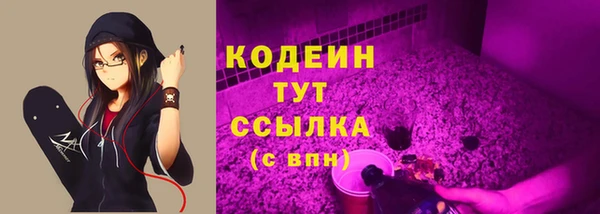 шишки Нея