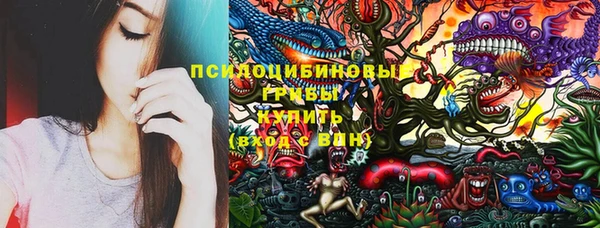 бошки Нефтегорск