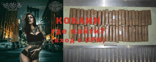 шишки Нея