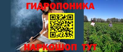 эйфоретик Берёзовский