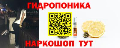 spice Абинск