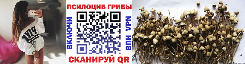 Галлюциногенные грибы ЛСД  где продают   Каменка 