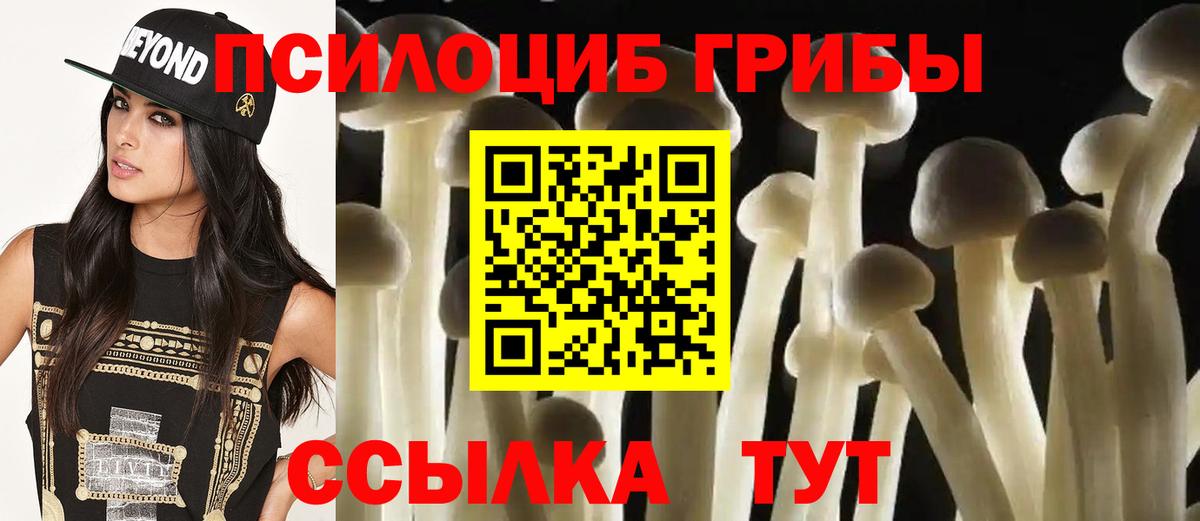 Галлюциногенные грибы Psilocybine cubensis Каменка