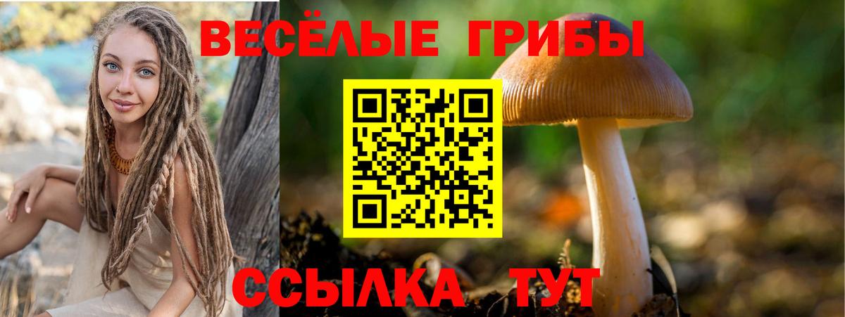 Бошки Шишки  Хэш  Вход с VPN  COCAIN  Меф  Мяу-Мяу  Каменка  Гашик 
