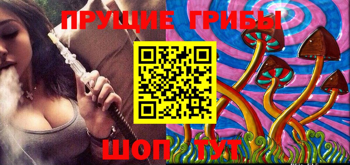 Галлюциногенные грибы прущие грибы  как найти закладки  Каменка  Галлюциногенные грибы мицелий 